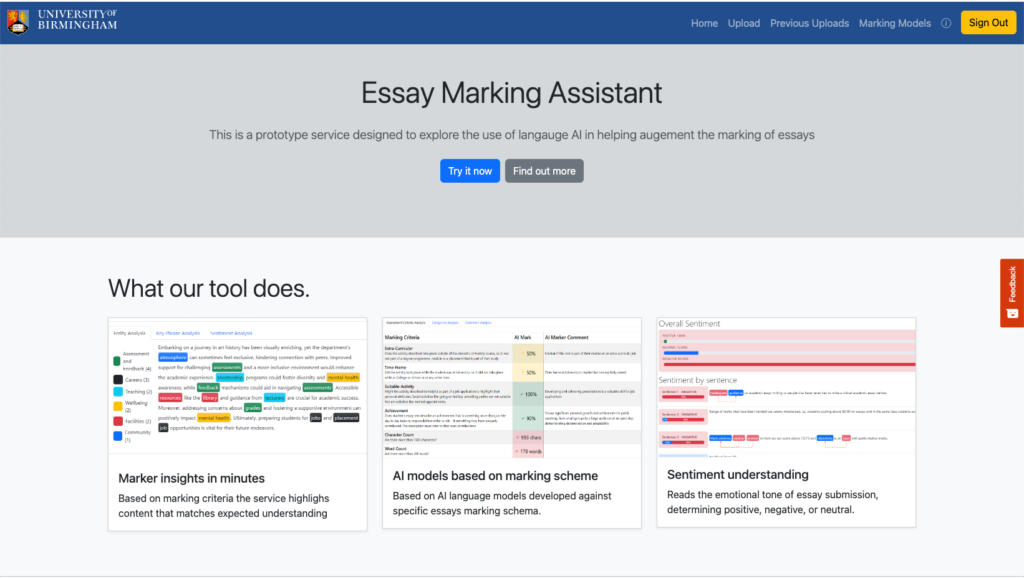 Screenshot of the essay AI marking web app.